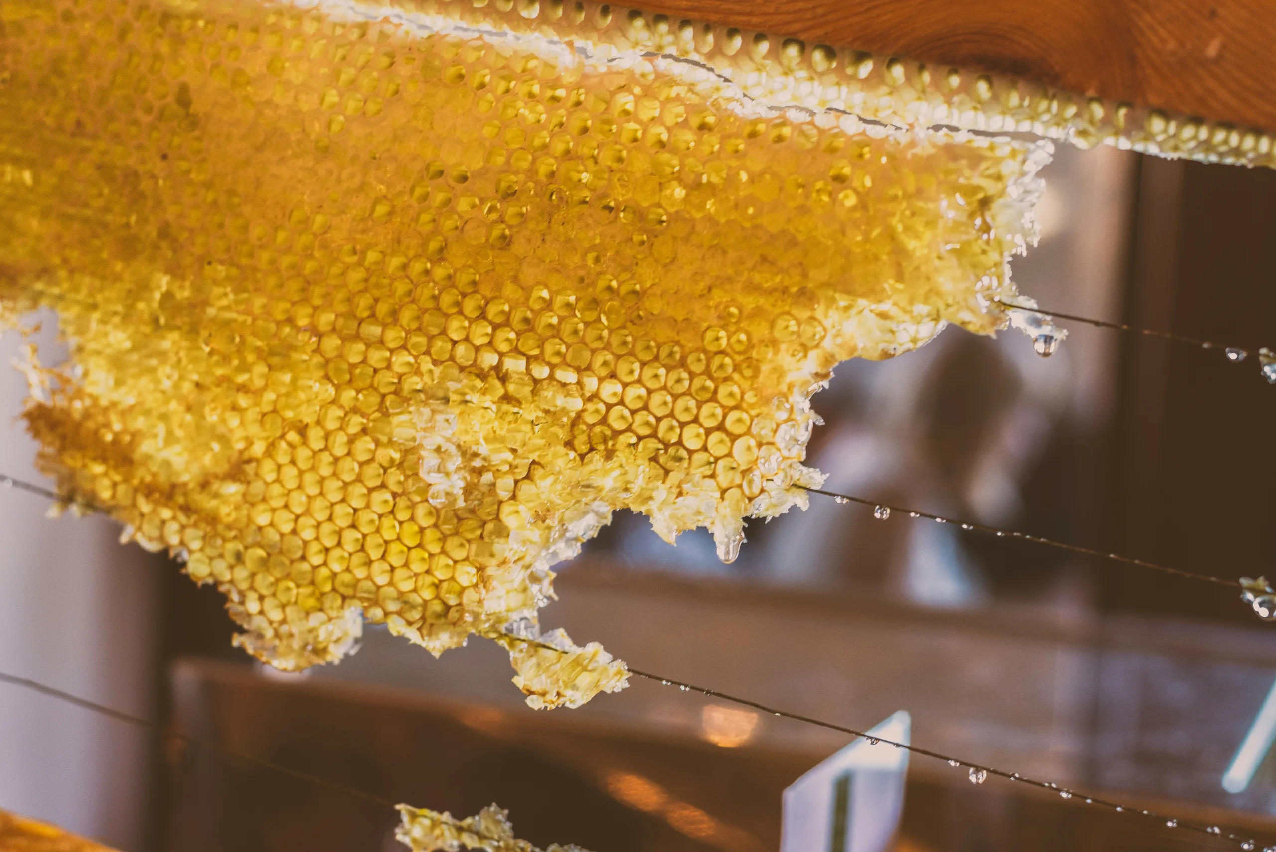 AfrawBio Cooperative - taliouine honey image