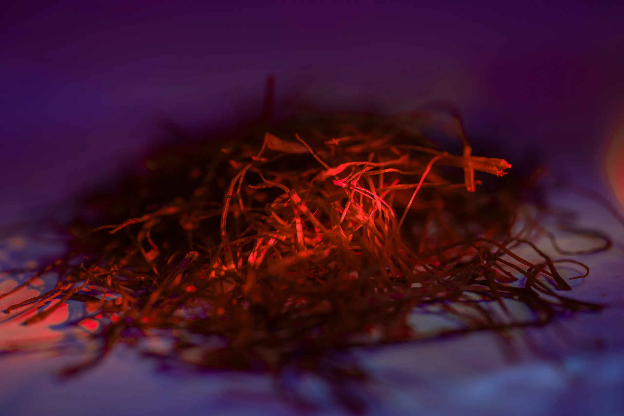 AfrawBio Cooperative - saffron image