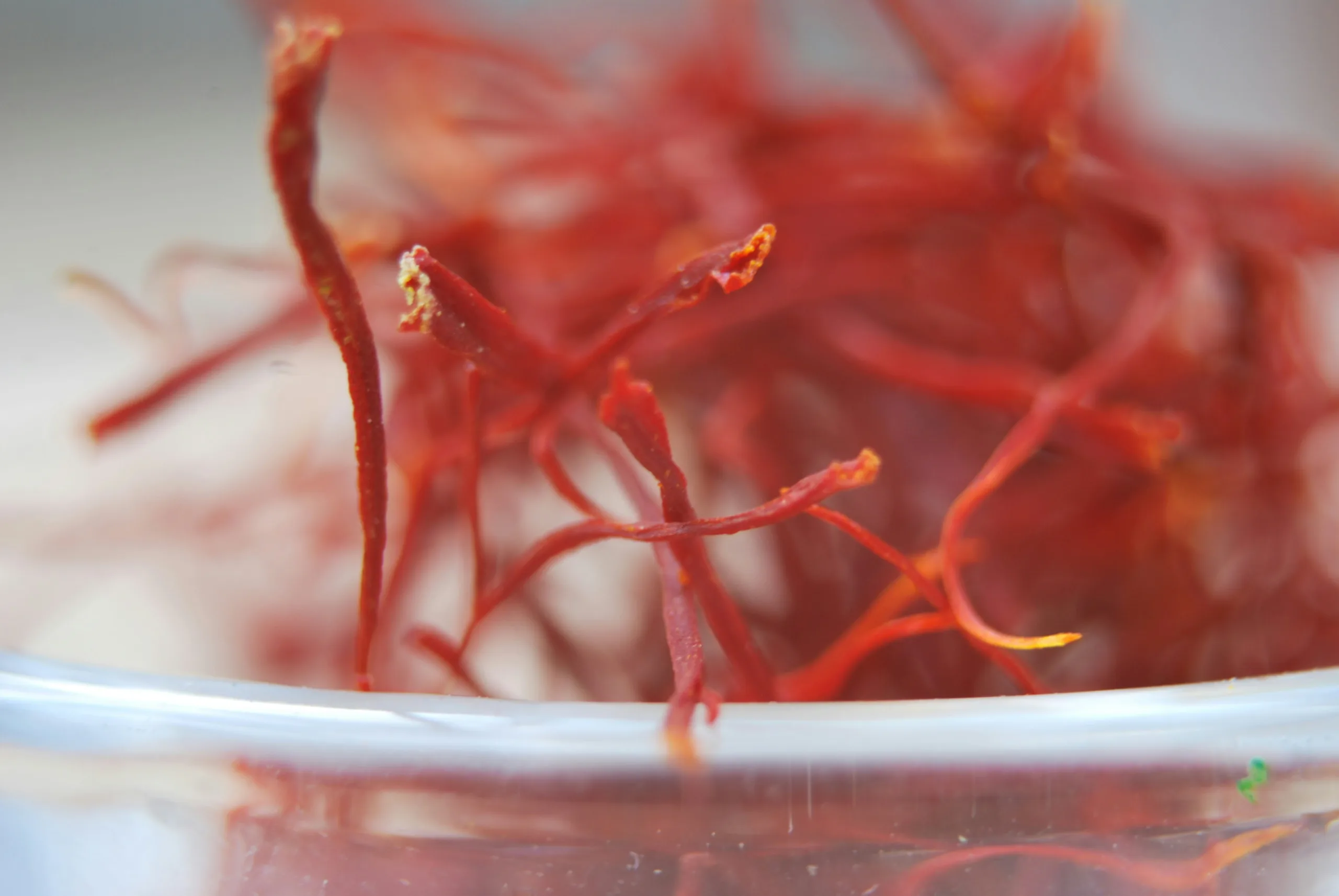 AfrawBio Cooperative - taliouine saffron image